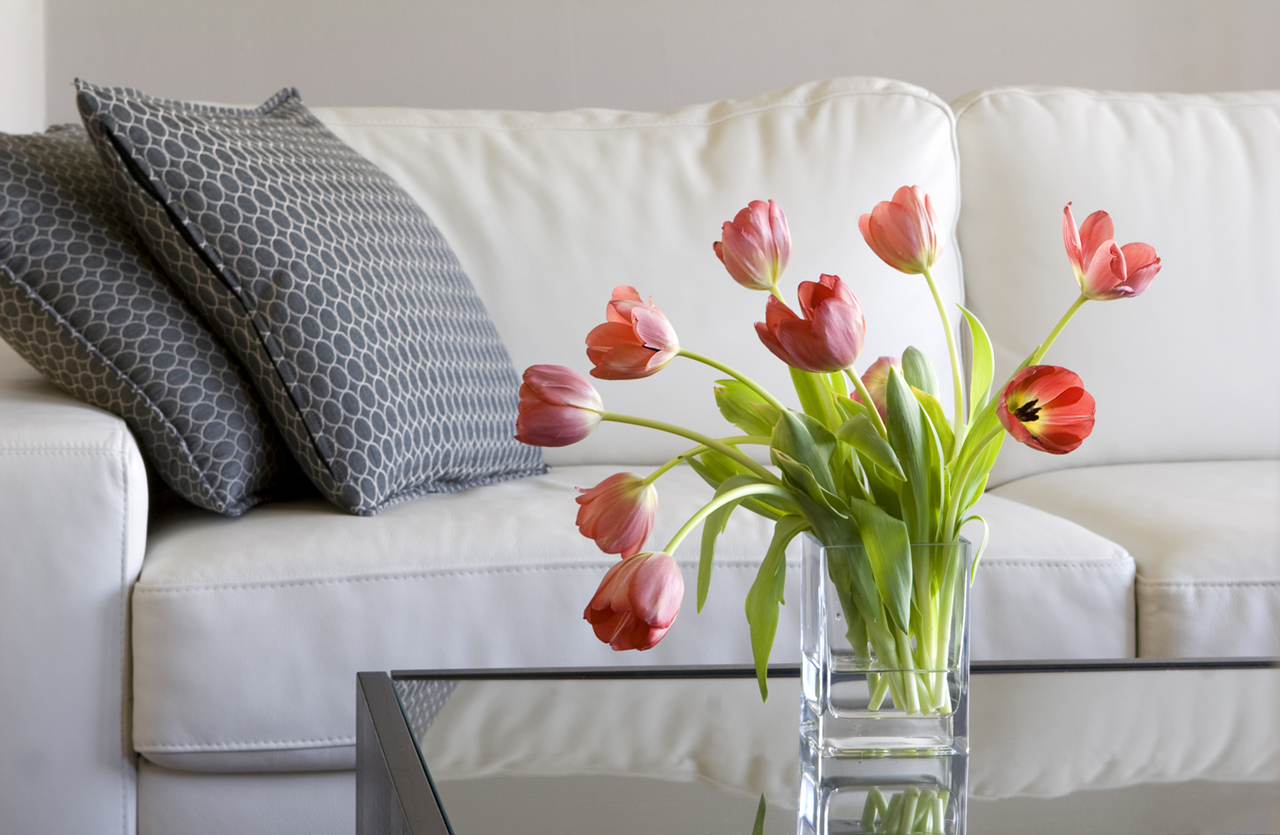 vase of red tulips in modern white living room